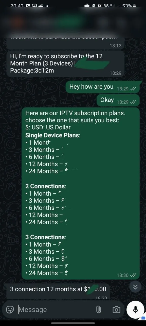 WhatsApp conversation with a ZyroTV customer, 2 of 11